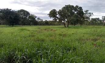 Imagem: Chacara próxima ao balneário Lagoa Rica