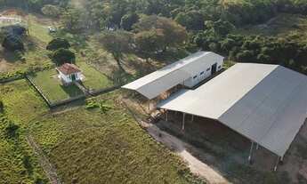 Imagem: Fonte de Água Mineral