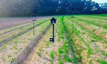 Imagem 6: Lote/Terreno para venda possui 600 metros quadrados em Jardim Bandeirantes - São Roque - S