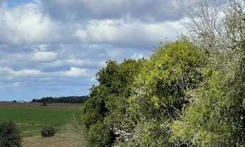 Imagem 7: Terreno Lote para Venda em Recanto Corcunda Gravataí-RS - 1776