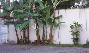 Imagem 3: Casa comercial no Brooklin