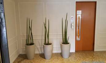 Imagem 5: APARTAMENTO - PARAÍSO - SP