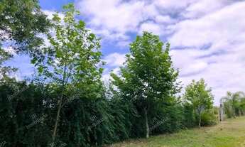 Imagem 6: Excelente Chácara Sem Benfeitorias