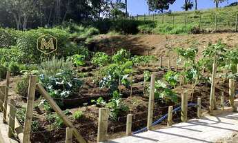 Imagem 6: Fazenda/Sítio/Chácara para venda com 12000 metros quadrados com 3 quartos