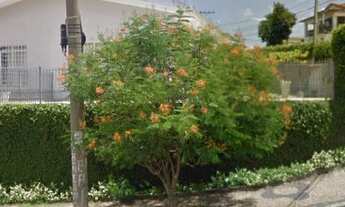 Imagem 1: CASA TÉRREA - VILA SÃO JOSÉ - SP