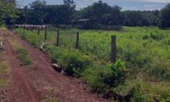 Imagem 6: Fazenda/Sítio/Chácara para venda possui poço artesiano com bomba , com casa de 2 quartos