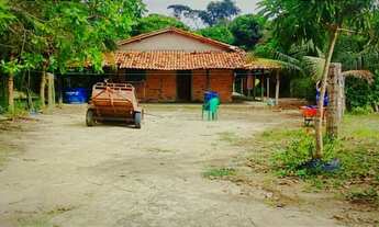 Imagem: Sítio em Viana