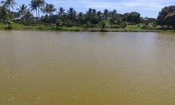 Imagem 6: VENDO UMA ILHA EM PIAÇABUÇU