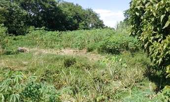 Imagem 6: Vendo Sítio Guapimirim