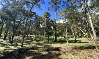 Imagem 3: Sítio a venda em Urubici/chácara a venda em Urubici