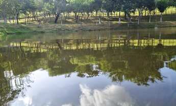 Imagem 2: Vendo terreno de 1000m² barato no interior