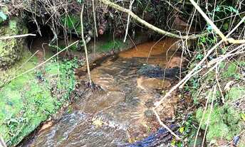 Imagem 5: PARCELO DIRETO ESTA CHÁCARA COM RIACHO A 1 KM DA RS020