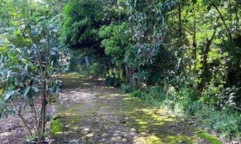 Imagem 5: Rural chacara com 2 quartos - Bairro Setor Serra Dourada em Goianira