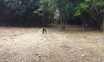 Imagem 4: Terreno Chácara Flora