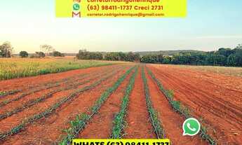 Imagem: Fazenda 45 km de Palmas lavoura e pecuária