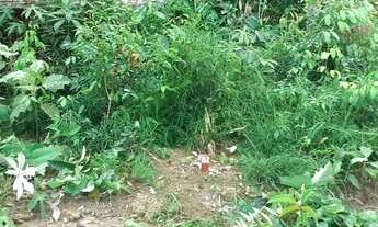 Imagem: Terreno 20x50 no Rio Preto da Eva