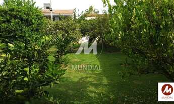 Imagem 3: Terreno (terreno normal) 1 dormitórios, cozinha planejada