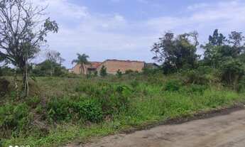 Imagem 7: Vendo lote na Praia do Ervino