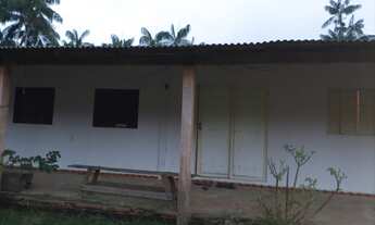 Imagem 5: SITIO/FAZENDA LOCALIZADO EM BALBINA