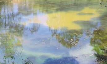 Imagem 4: Jarinu - Sítio - Rua Iara