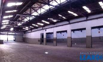 Imagem 3: GALPÃO - VILA LEOPOLDINA - SP