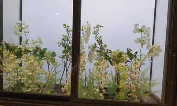 Imagem 4: Vende Casa em Condomínio 4 dormitórios, sendo 1 suíte e 3 tipo apartamentos, sala 3 ambien