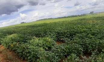 Imagem 7: Fazenda/Sítio/Chácara para venda com metros quadrados