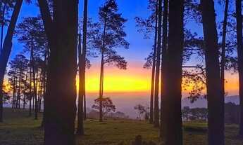 Imagem 6: TERRENOS COM OTIMAS PARCELAS