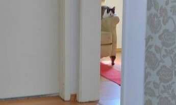 Imagem 4: Apartamento para venda tem 45 metros quadrados com 2 quartos em Parque Santa Rosa - Suzano