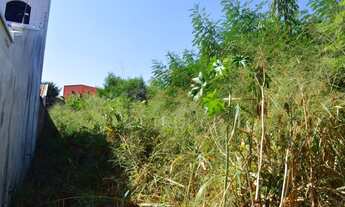 Imagem 3: Terreno - Bosque de Barão Geraldo - Campinas