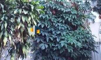 Imagem 6: Casa comercial no Brooklin