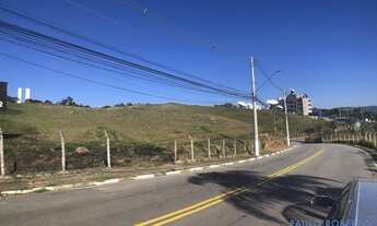 Imagem 5: TERRENO - ALPHAVILLE - SP