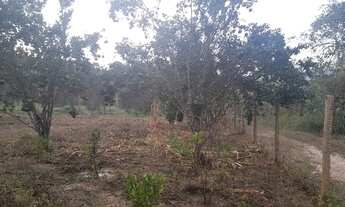 Imagem 6: Lindo lote em Brumadinho