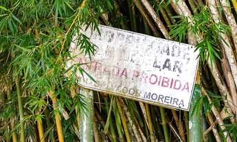 Imagem 6: Um refúgio exuberante e isolado em meio à natureza de Parati - Ilha do Araújo