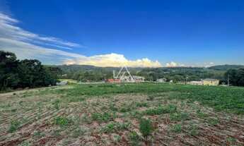 Imagem: TERRENO RS 324 - 1 HA