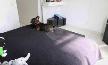 Imagem 5: Casa - Méier Casa com 5 dormitórios