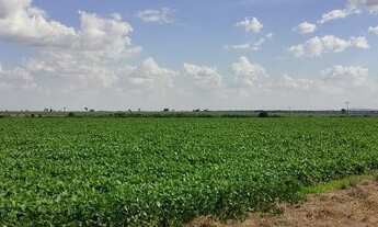 Imagem 7: Jussara - Fazenda - Zona rural