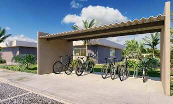 Imagem 6: Valle dos Flamboyants