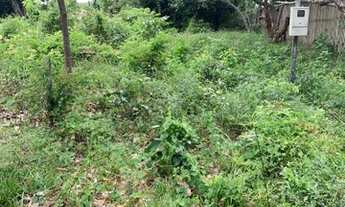 Imagem 4: Vendo ou troco terreno comunidade vila nova