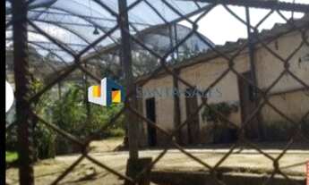 Imagem 4: Ótimo Terreno em Sato Amaro