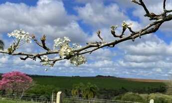 Imagem 2: Terreno Lote para Venda em Recanto Corcunda Gravataí-RS - 1776