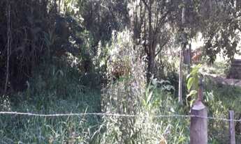 Imagem 6: A Maior Imobiliária Rural do Vale do Paraíba! - Cód 1573