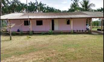 Imagem 2: SITIO/FAZENDA LOCALIZADO EM BALBINA