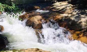 Imagem 4: Vendo chácara Chácara com venda por R$200.000