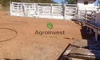 Imagem 2: Abatedouro em Pires do Rio-GO