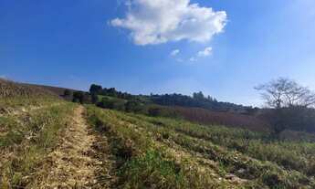 Imagem 3: Lotes de 500m² Terreno / lote com venda por R$60.000