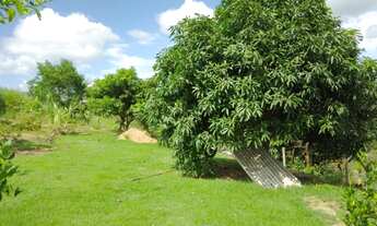 Imagem 7: Lote 1.015m2 - Praia Grande