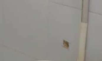 Imagem 4: Alugo 600 Casa com 2 dormitórios