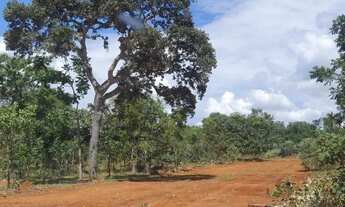 Imagem 6: Fazendinhas Planas com Terra para Plantio por 18.991 mais Pequenas Parcelas