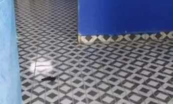 Imagem 3: Alugo kit net Quarto com aluguel por R$550 /mês